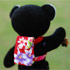 手工熊-揹花布包的迷你台灣黑熊