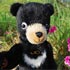德國毛海熊-台灣小黑熊